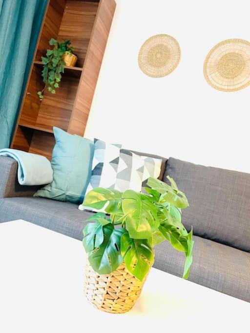 Allgaeu Living - 46Sqm اوبرستوفن المظهر الخارجي الصورة